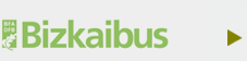bizkaibus